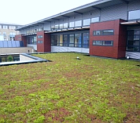 System Zielony Dach ICOPAL